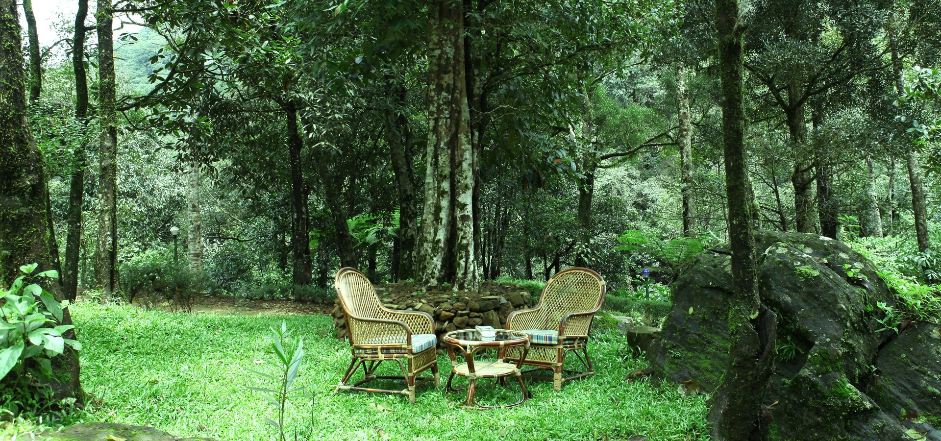 Jungle Side Relaxation at Wayanad