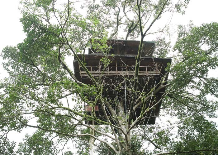 Asia's Largest Tree House in Wayanad