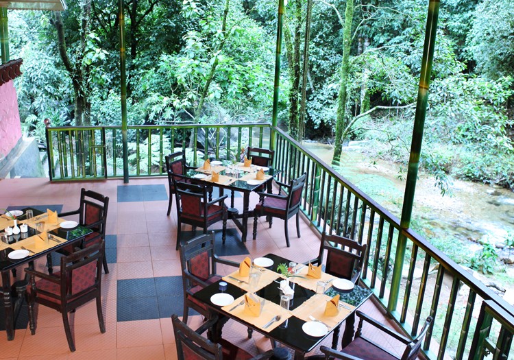 Multi Cuisine Restaurant inside Jungle