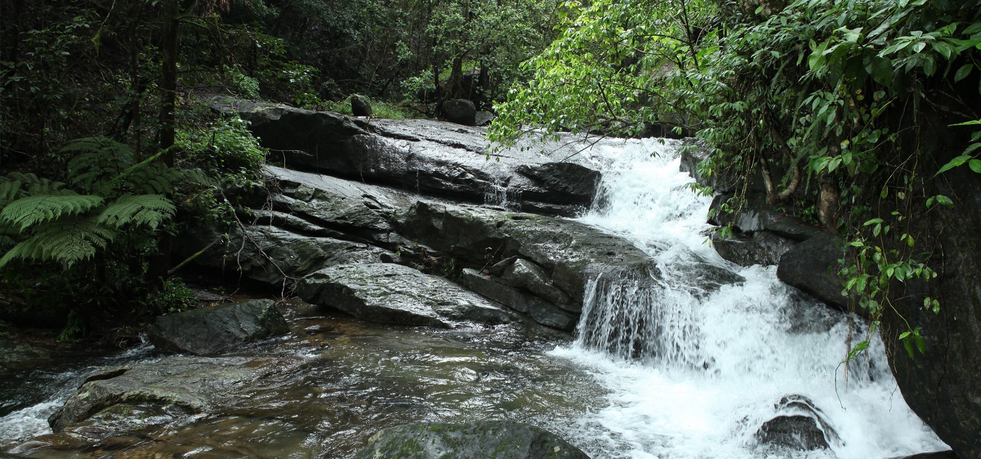 Natural Waterfalls Wayanad