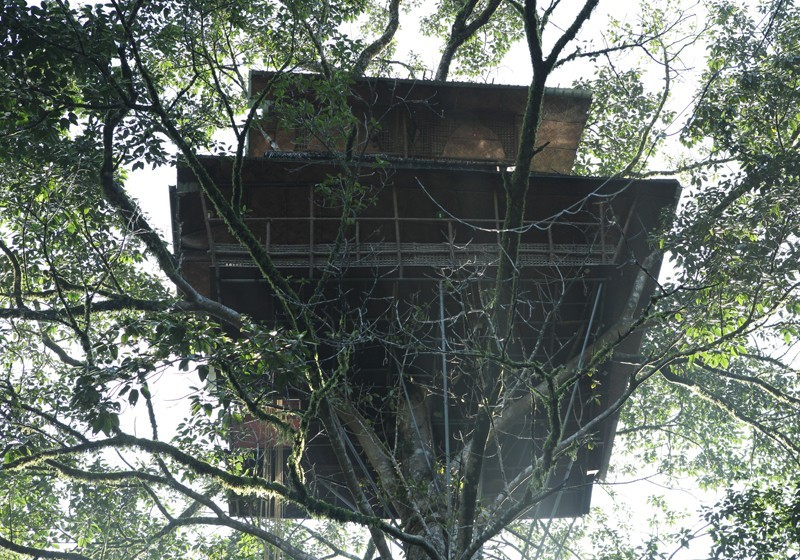 Tree House in Kerala